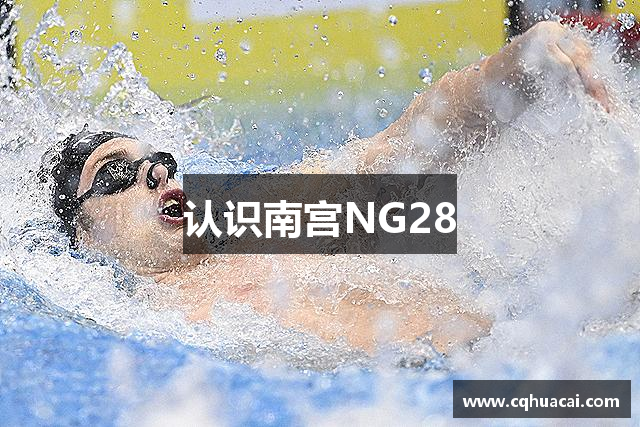 认识南宫NG28